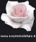 Rosy Immobiliare