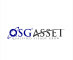Qsg asset