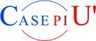 Casepi� Attivit� Immobiliri