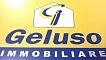 Geluso immobiliare s. A. S.