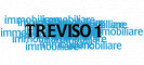 Immobiliare treviso 1 Srl