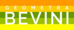 Geometra bevini