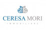 Ceresa mori immobiliare