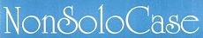 NonSoloCase