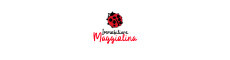 Immobiliare Maggiolina Sas di Guarino Zavvarone Martina &C.